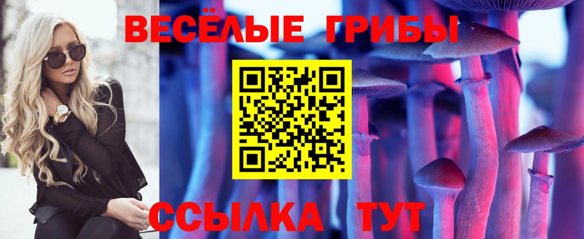 Псилоцибиновые грибы Psilocybine cubensis  Вход с VPN  Мелеуз 
